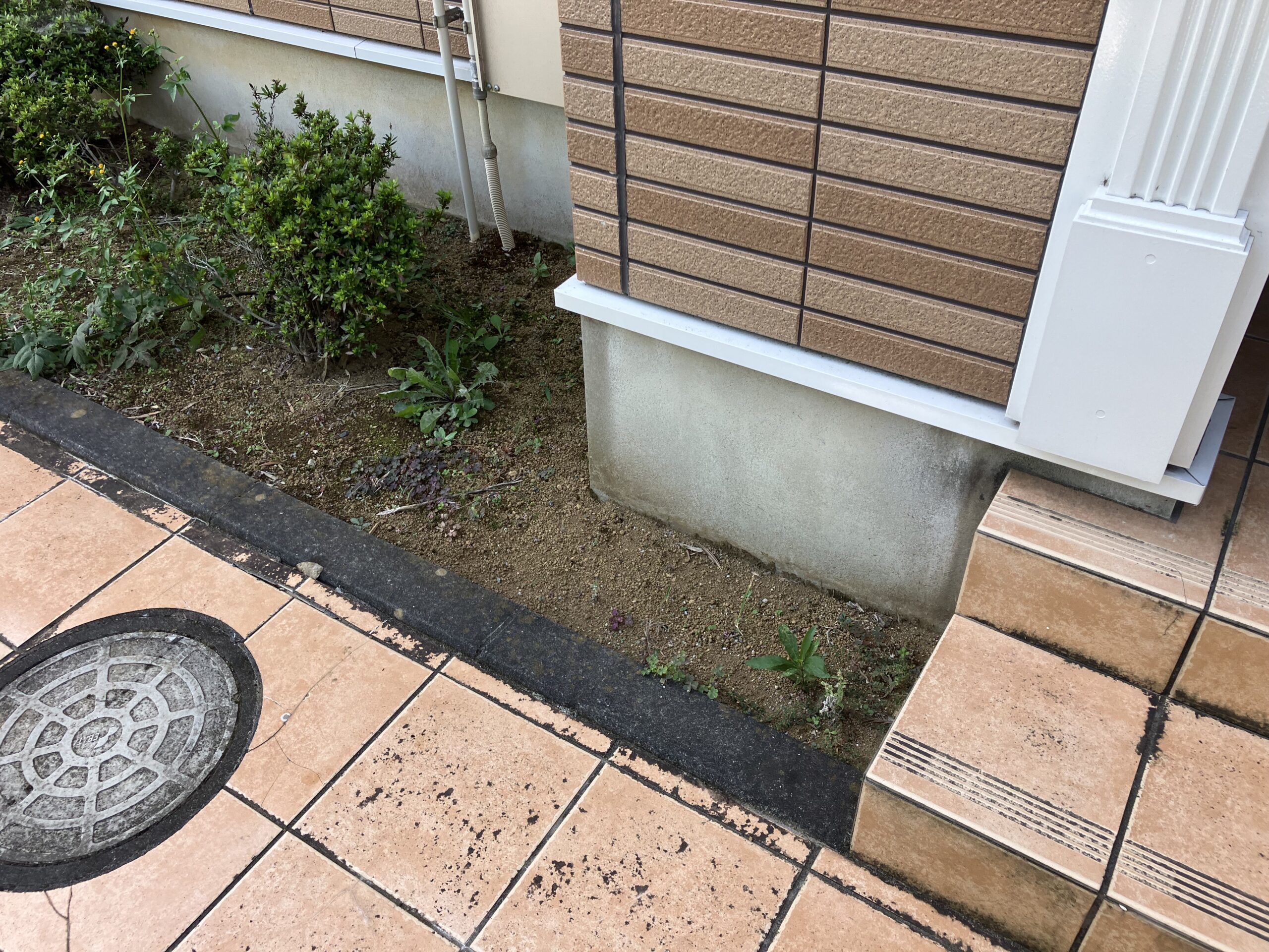 After写真